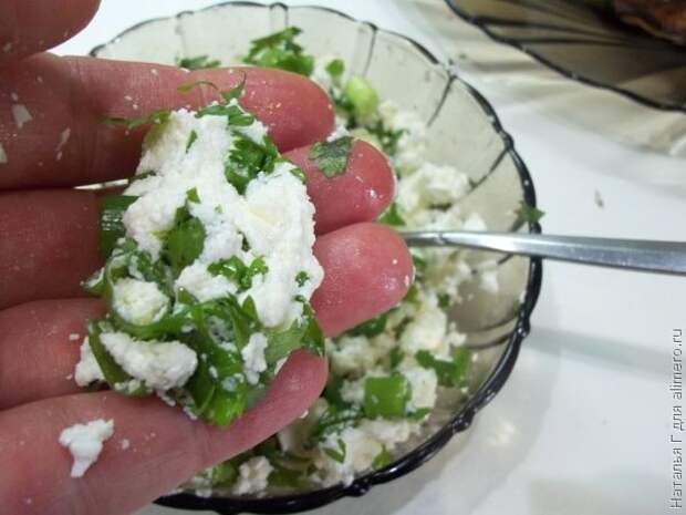 Рулетики из баклажанов с творогом и орехами