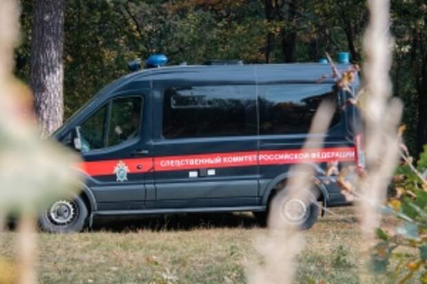 Глава СК России поручил доложить о ходе расследования уголовного дела по факту хулиганских действий подростков в Тверской области