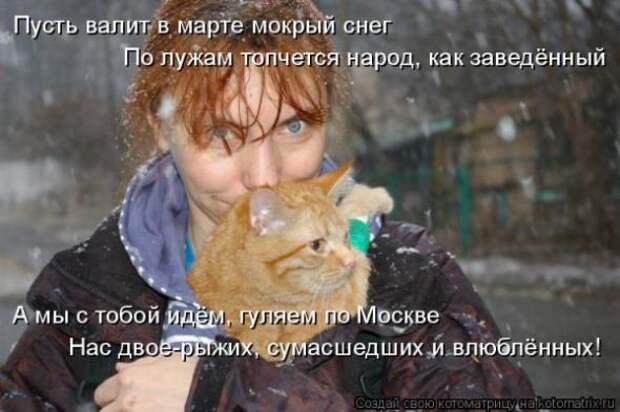 Котоматрица про любовь (часть 2)