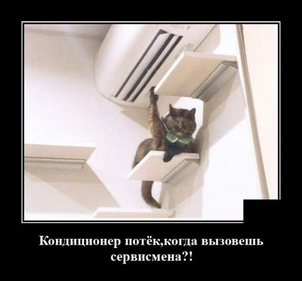 demotivatory-demotivator-smeshnye-demotivatory-demotivator-so-smyslom