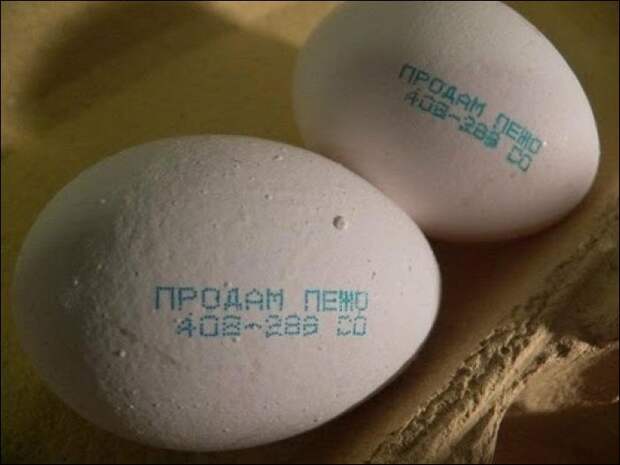 Прикольные надписи и объявления