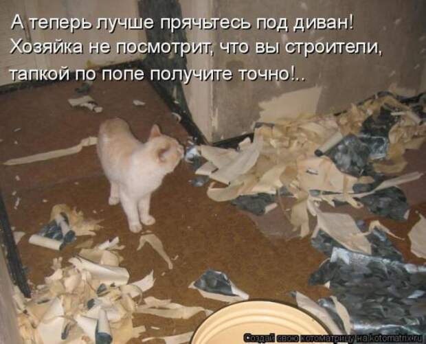 Котоматрицы(картинки с надписями)