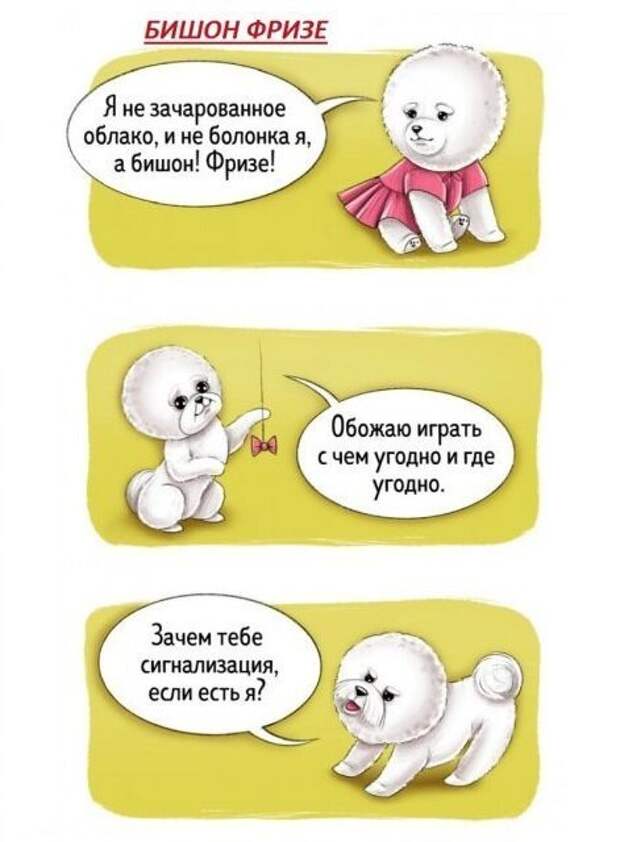 Весёлый гид по породам собак Породы собак, особенности пород, собаки, юмор