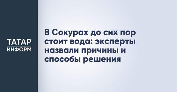 В Сокурах до сих пор стоит вода: эксперты назвали причины и способы решения