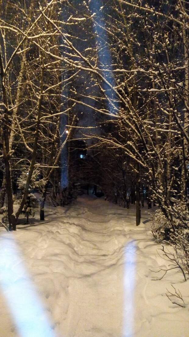 В поисках любви