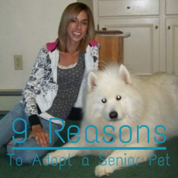 Rascal (our family's Samoyed) and I when he was 11. Doesn't look a day over 3 ;)
