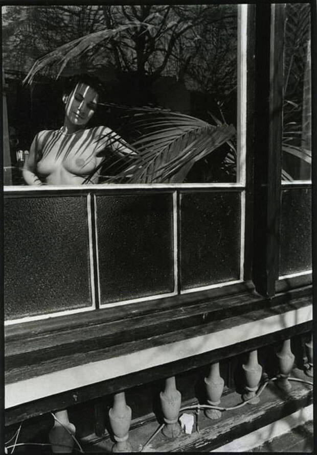 Эротические фотографии Мишеля Пинеля