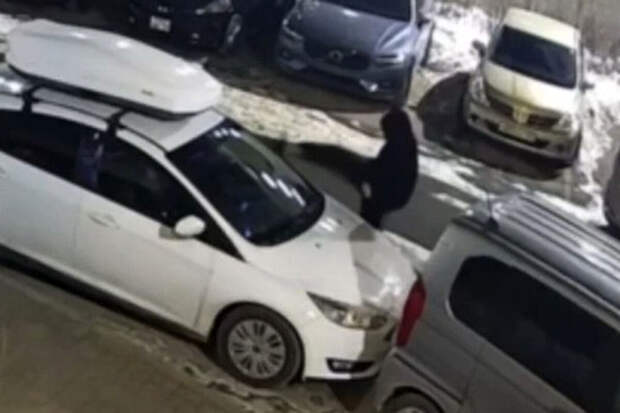 В Приморье подросток разбил чужие машины, расстроившись из-за девушки