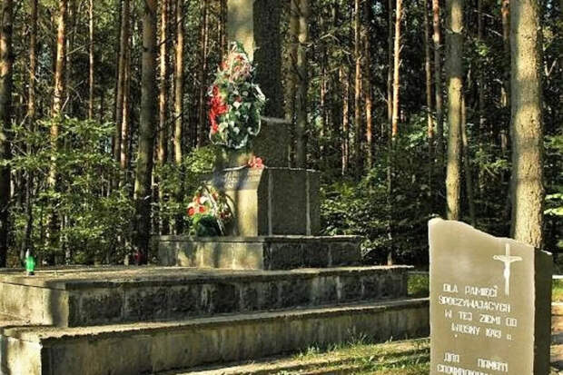 Названы итоги бульдозерных «поисков» тел жертв Волынской трагедии на Украине