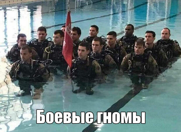 Подборка юмора и веселья в картинках и фотографиях Подборка юмора и веселья в картинках и фотографиях
