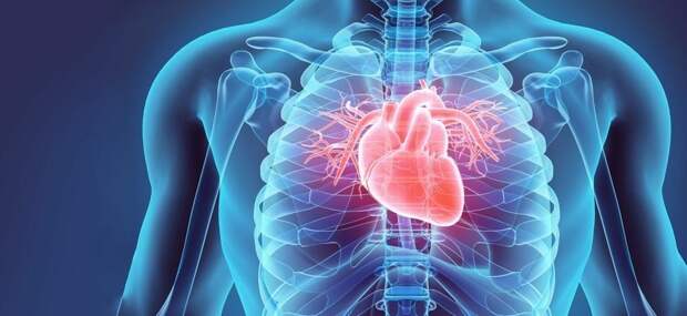 Три скрытых сигнала болезни сердца которые часто игнорируют