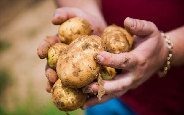 madeinrussia01 Сами с усами: что производят в России?