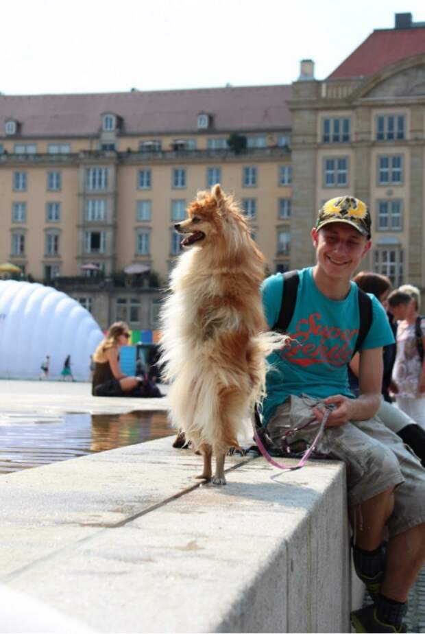 15 самых тёплых фотографий, от которых светлеет на душе