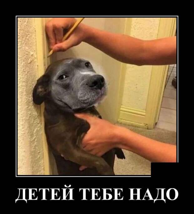 Демотиватор про детей