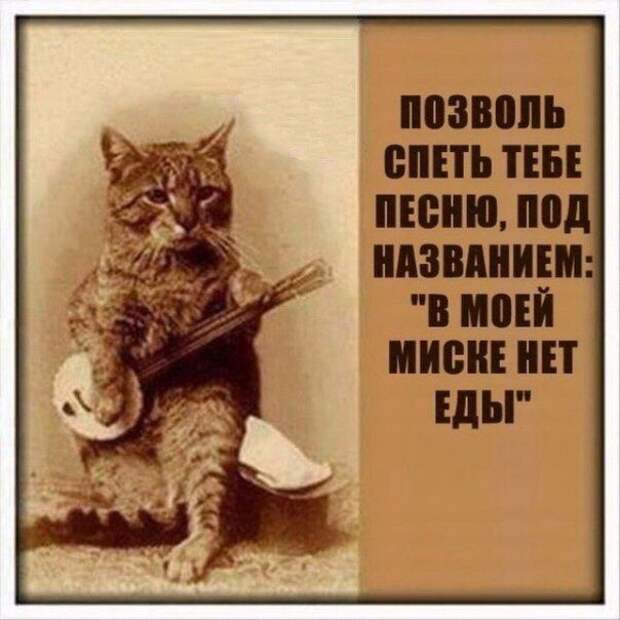 Подборка прикольных фото №1428 (113 фото)