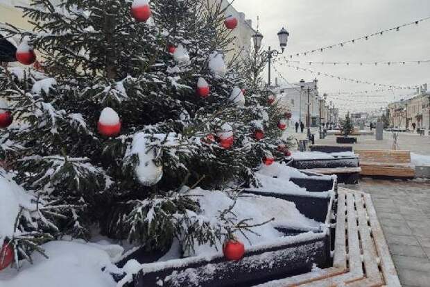 На Тамбовскую область надвигается аномально-холодная погода