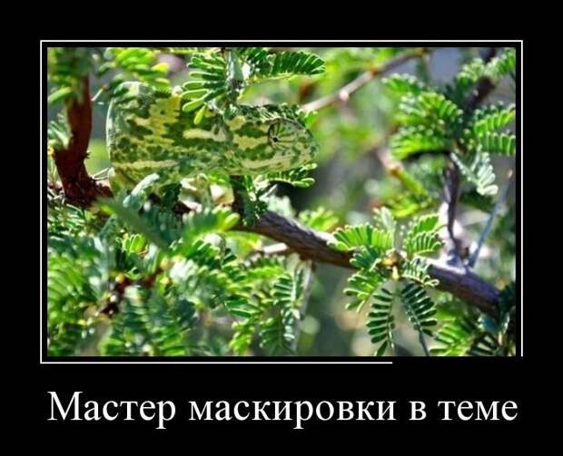 Новые демотиваторы на среду Новые демотиваторы на среду