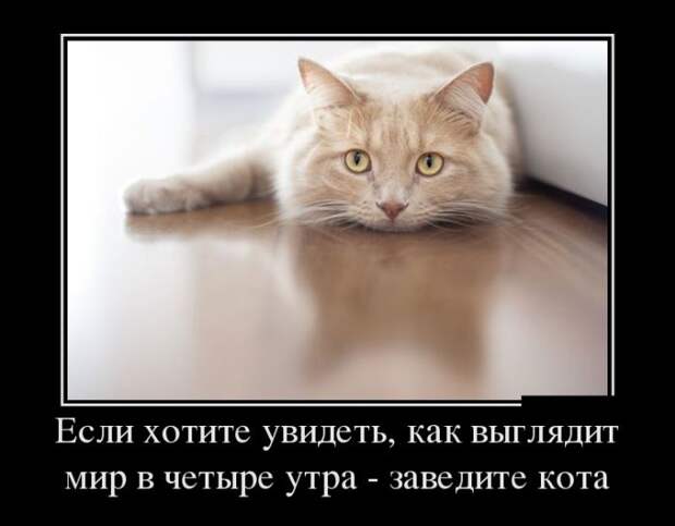 1476126184_01