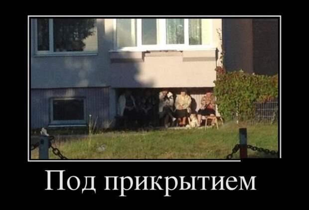 Демотиваторы (30 фото)