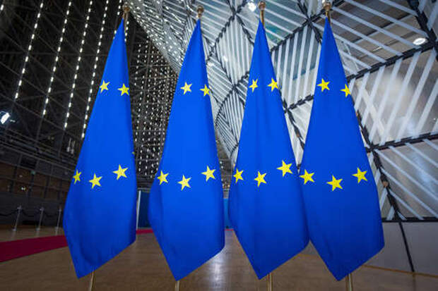 Профессор Дизен: нужно объяснить европейским политикам вопросы безопасности