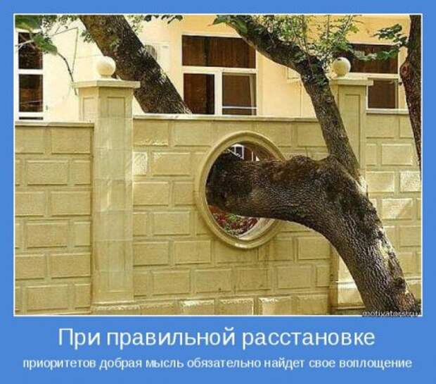 Мотиваторы. Побеждай и будешь лучшим!