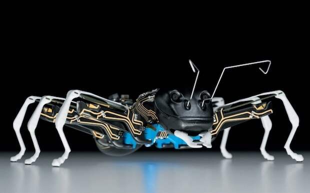 Управляемый мир насекомых: для чего создали роботов-муравьев