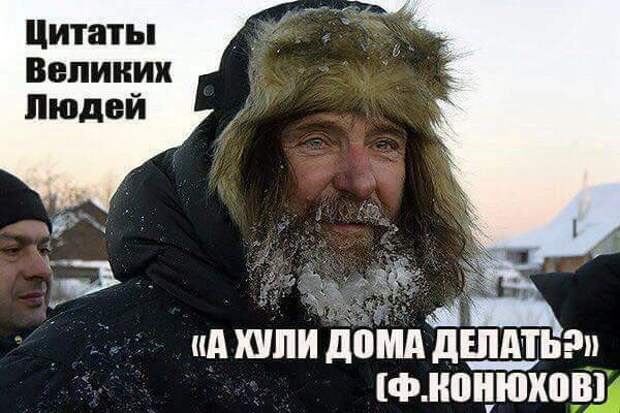 смешные картинки с надписями