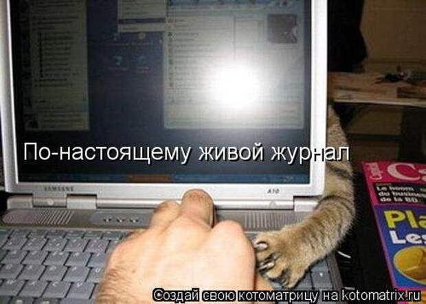 Лучшие котоматрицы недели (50 фото) Лучшие котоматрицы недели (50 фото)