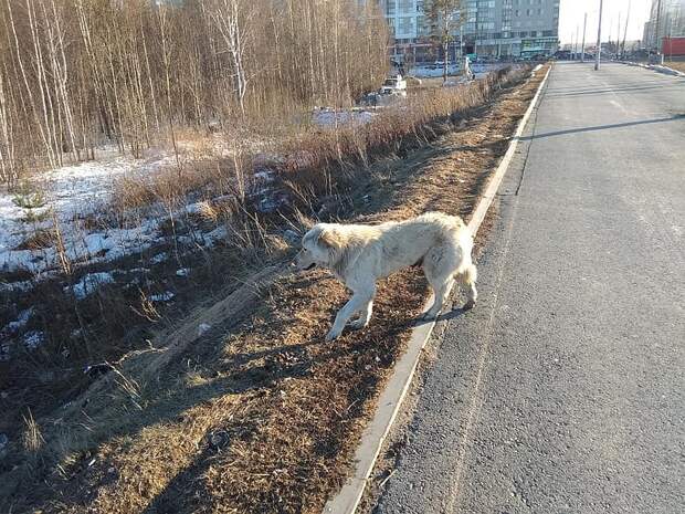 Фото: Эдуард Нелепко