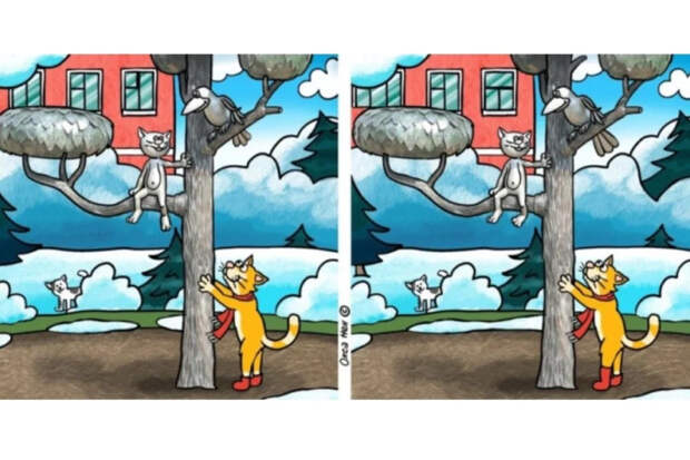 Рыжий кот в сапожках: найдите 11 отличий за 45 секунд