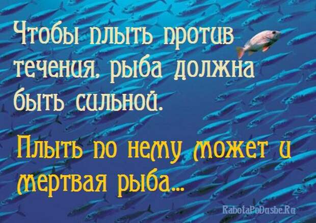 зачем нужна цель в жизни