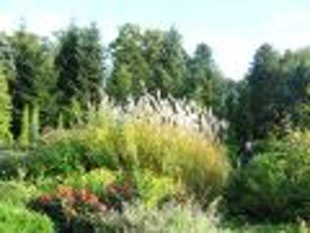 Калининградский ботанический сад - газон у входа