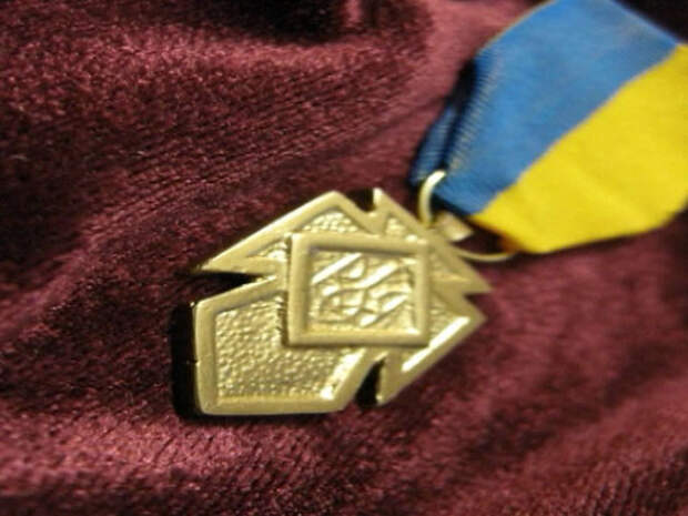 Карательные отряды Украины получили знаки отличия Третьего рейха