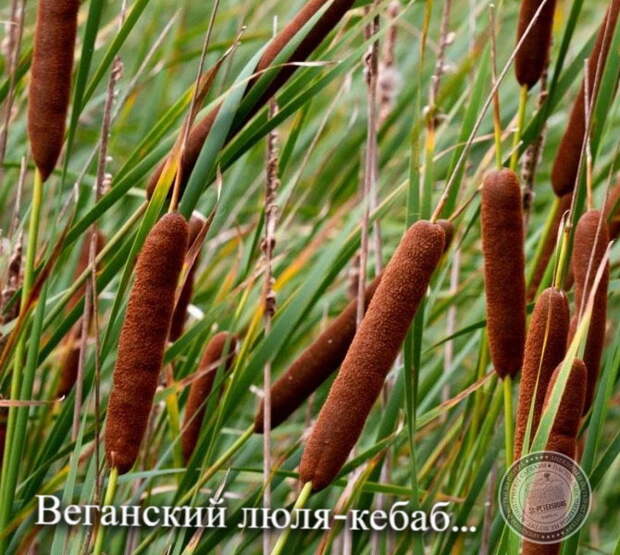 Люля-кебаб