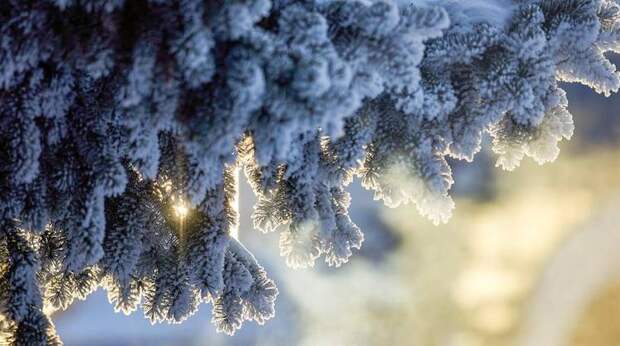 Погода в Москве преподнесет неожиданный сюрприз