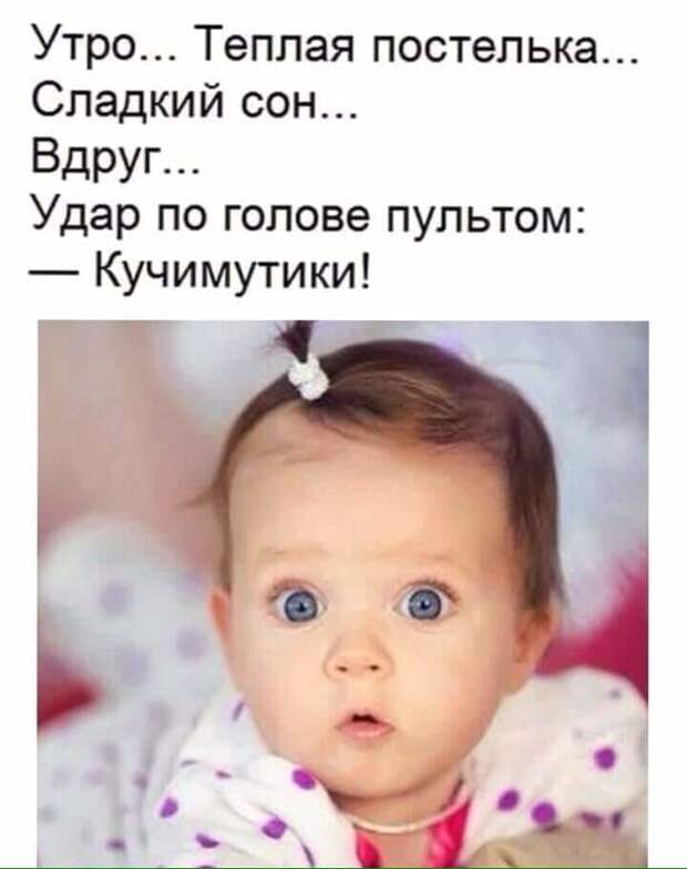 Свежая порция позитива: 12 уморительных анекдотов и историй