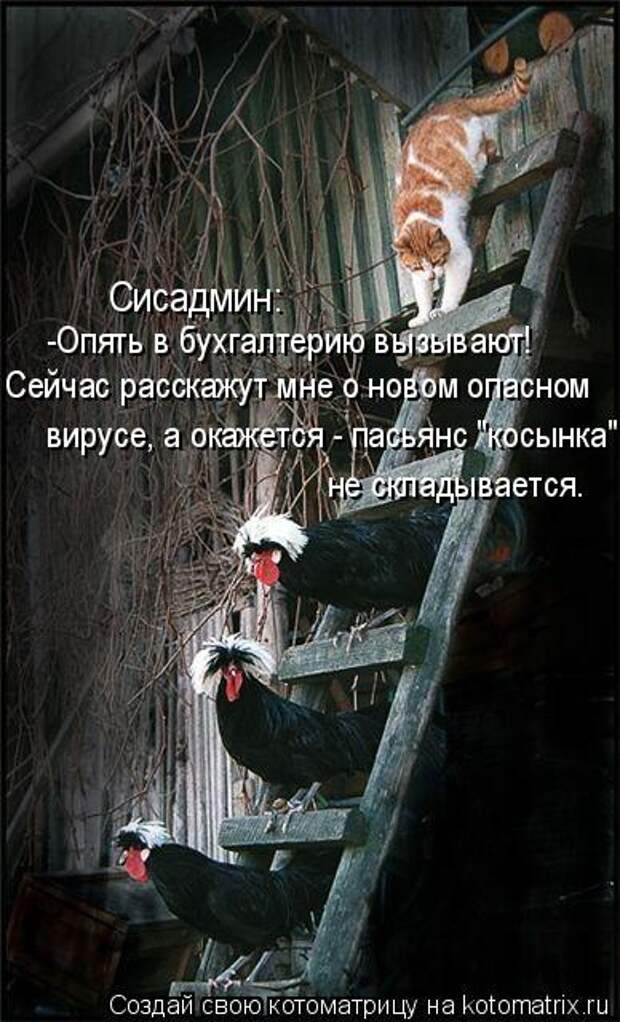 Сисадмин: -Опять в бухгалтерию вызывают! Сейчас расскажут мне о новом 