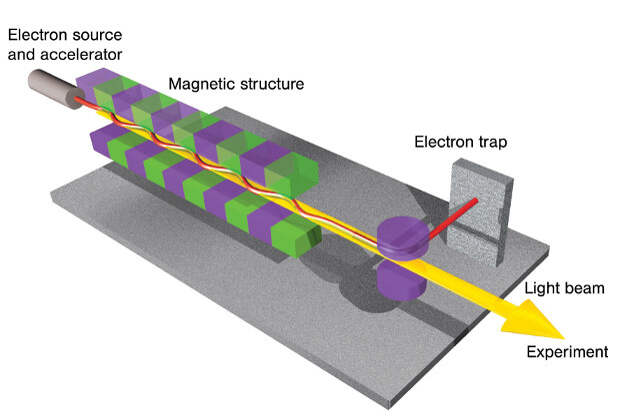 Принципиальная схема работы лазера на свободных электронах