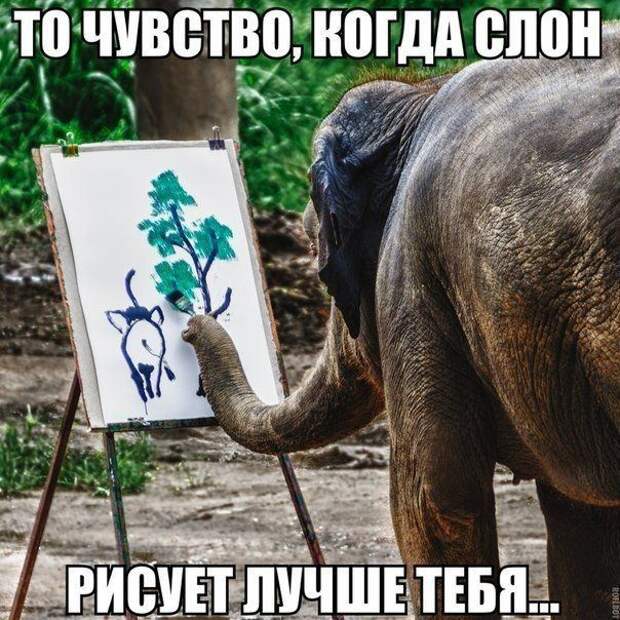 Смешные картинки с подписями  юмор, картинки, прикол