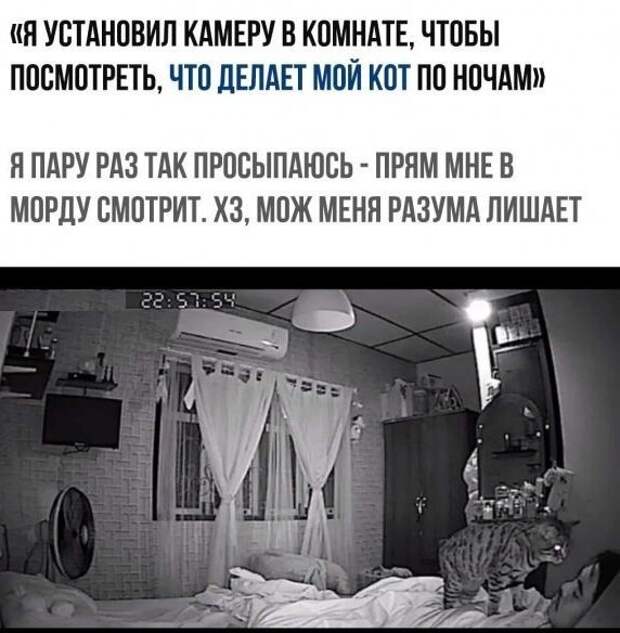 Прикольные и смешные картинки картинки, прикол, юмор