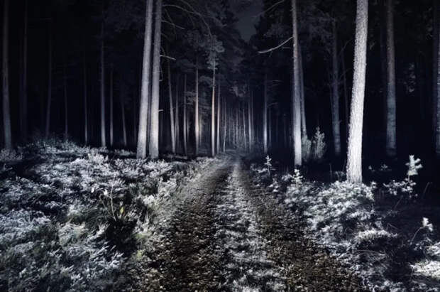 Прохожие в Ногинске не помогли замерзающему юноше, его ищут 20 дней