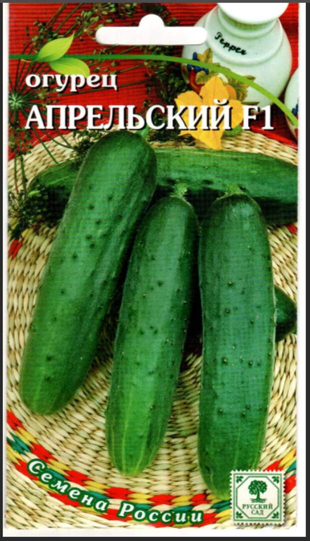 По улицам ходили большие крокодилы,а наши аллигаторы гибриды-огурцы .