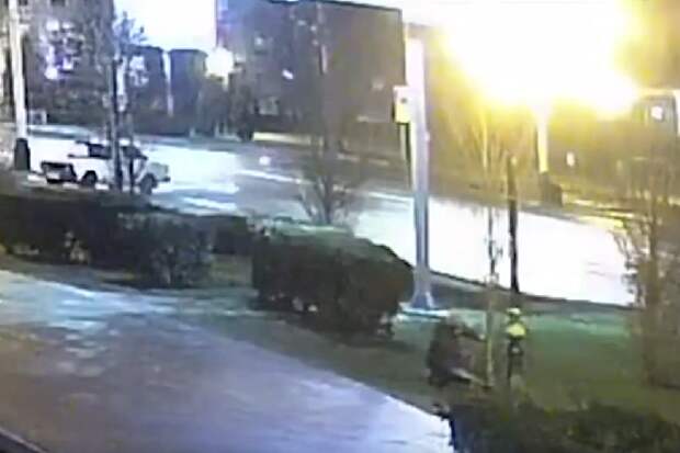 Установлена личность тамбовчанки, спилившей пять тополей на улице Интернациональной