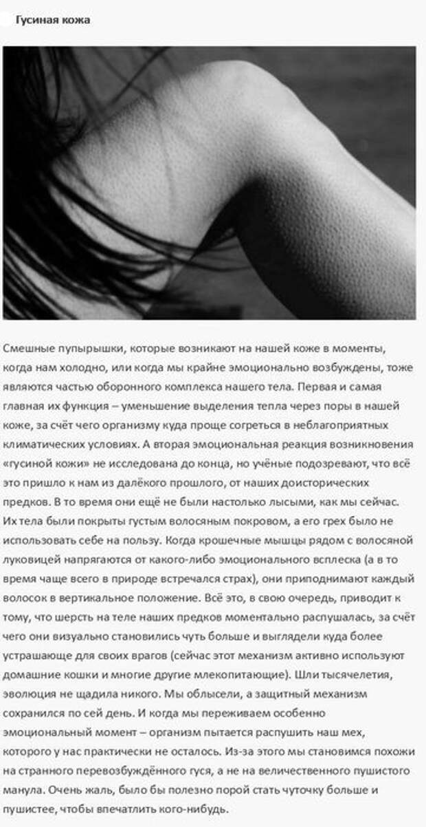 6430963151b544b7b0e4542c0838fe20 (361x700, 61Kb)
