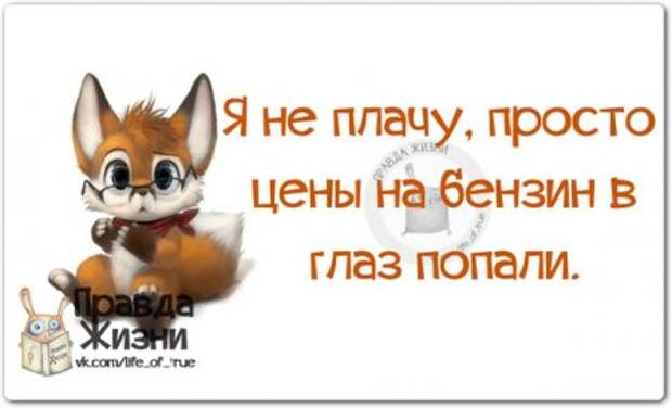 Прикольные "правдивости"