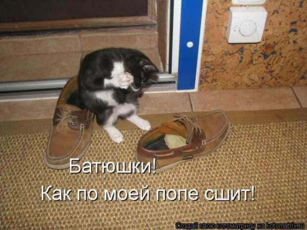 Котоматрицы(картинки с надписями)