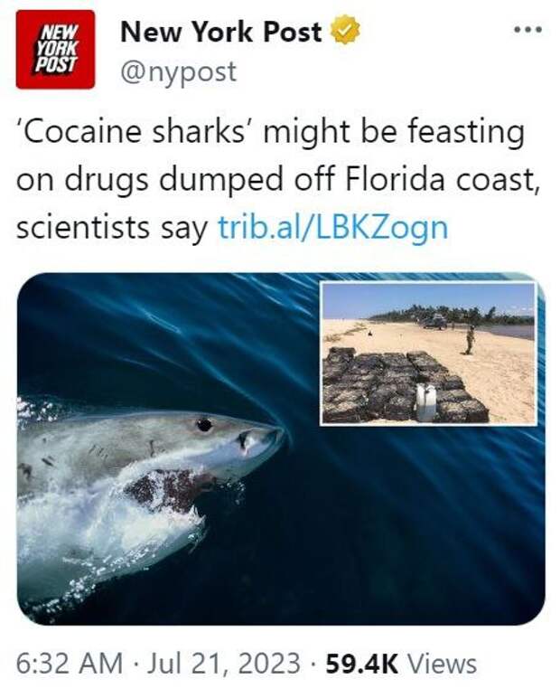 photo_2023-07-21_22-59-03