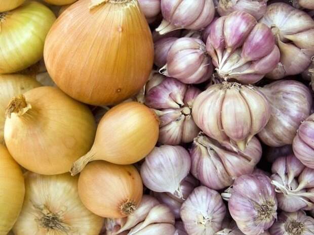 Восемь продуктов, которые помогут в борьбе с осенней аллергией