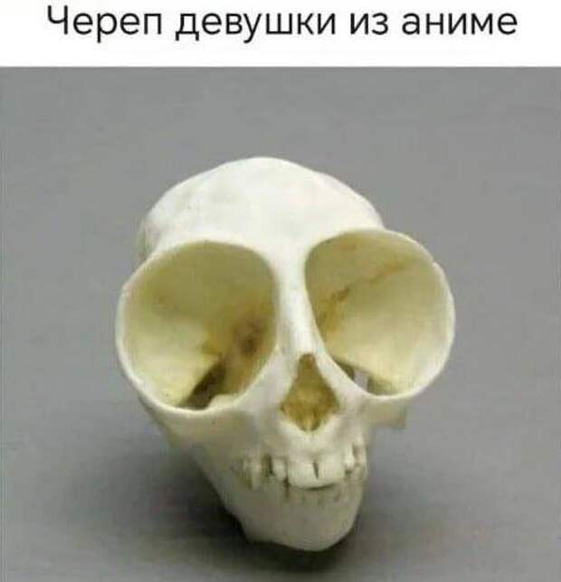 @psychology_funny  #юмор #смешное #приколы