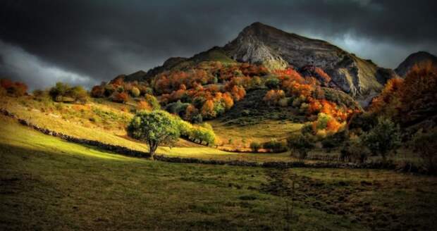 Красивая осень осень, природа, красиво, фото